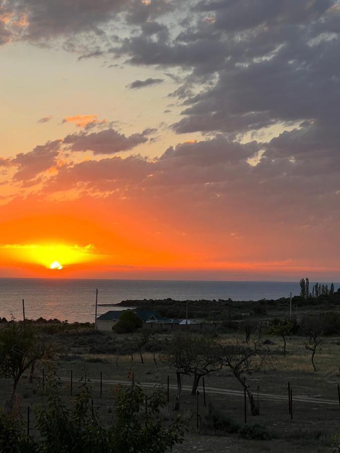 Guest House And Yurt Camp "Aktan" Bokonbayevo Dış mekan fotoğraf